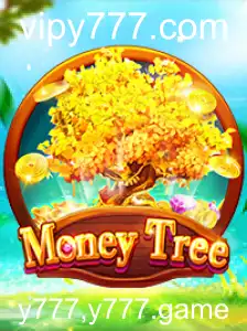Explorando o Mundo de MoneyTree: Descubra as Regras e Estratégias